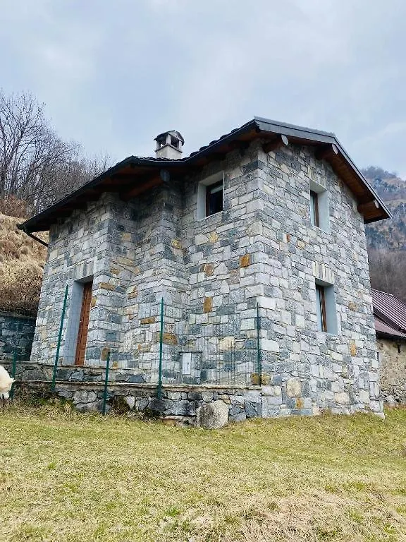 Alex Chalet Cavia