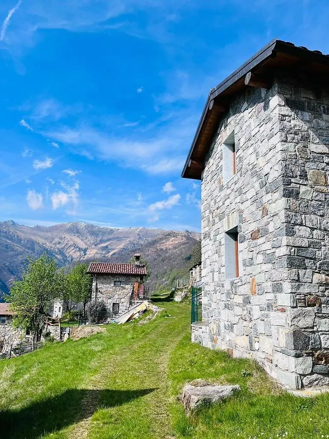 Alex Chalet Cavia