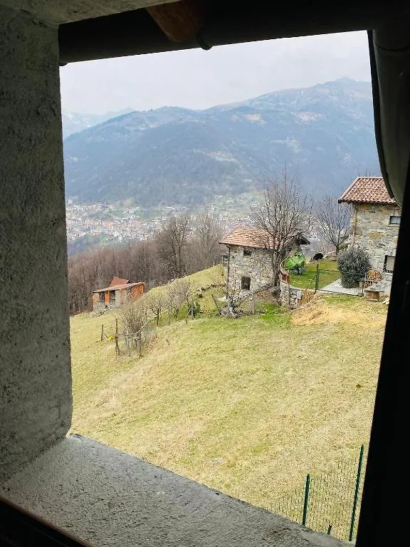 Alex Chalet Cavia 0*,