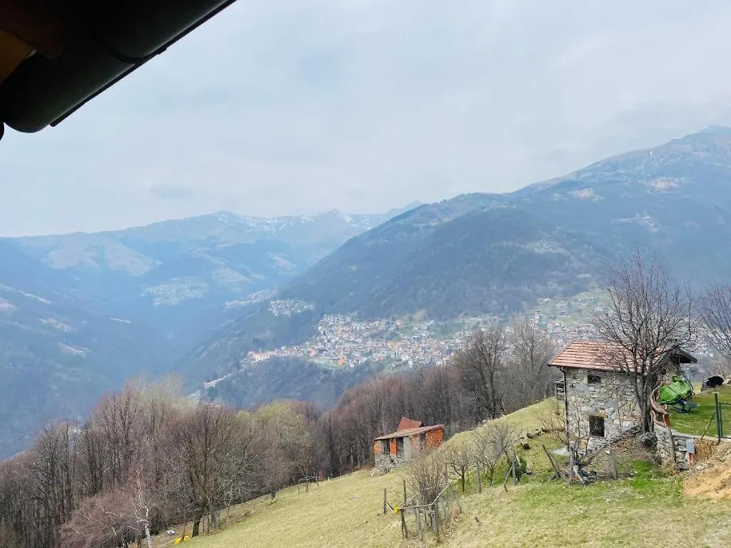 Alex Chalet Cavia