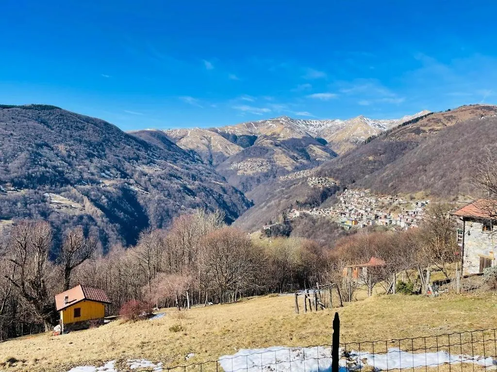 Alex Chalet Cavia